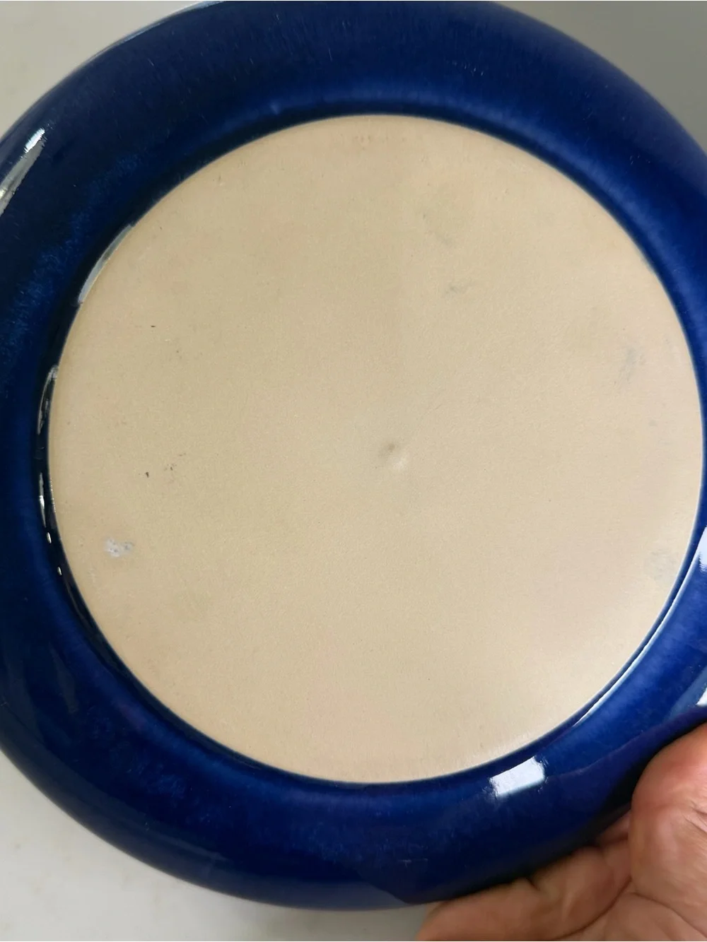 Crate and Barrel Handcrafted Blue and Cream Ceramic accent Plate